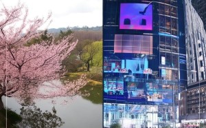 美日科技评估体系的比较研究