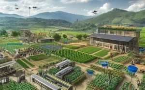 农村科技服务体系的构成，构建保障农民增收的科技