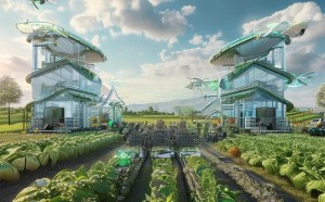 全面完善农业科技体系